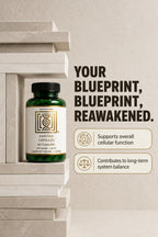 Back label of Quadraaura Haritaki 500mg supplement bottle