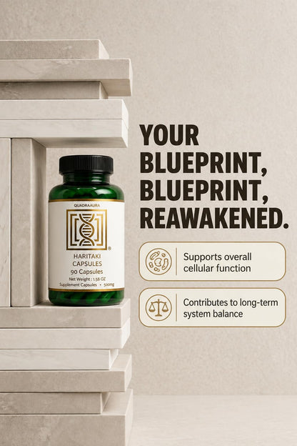 Back label of Quadraaura Haritaki 500mg supplement bottle