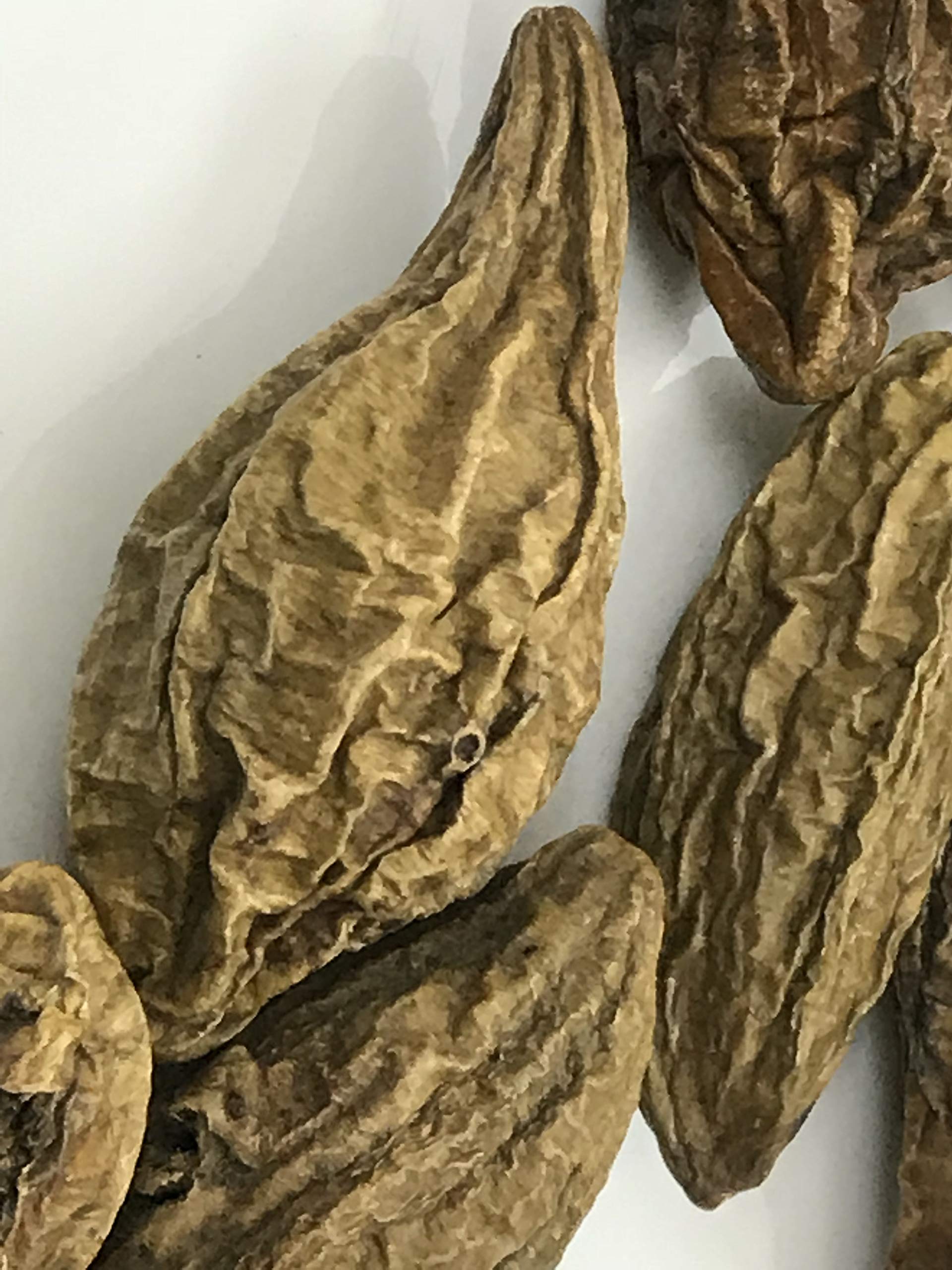 Dried Terminalia Chebula whole fruits displayed outside the Sanaa Zesty packaging.