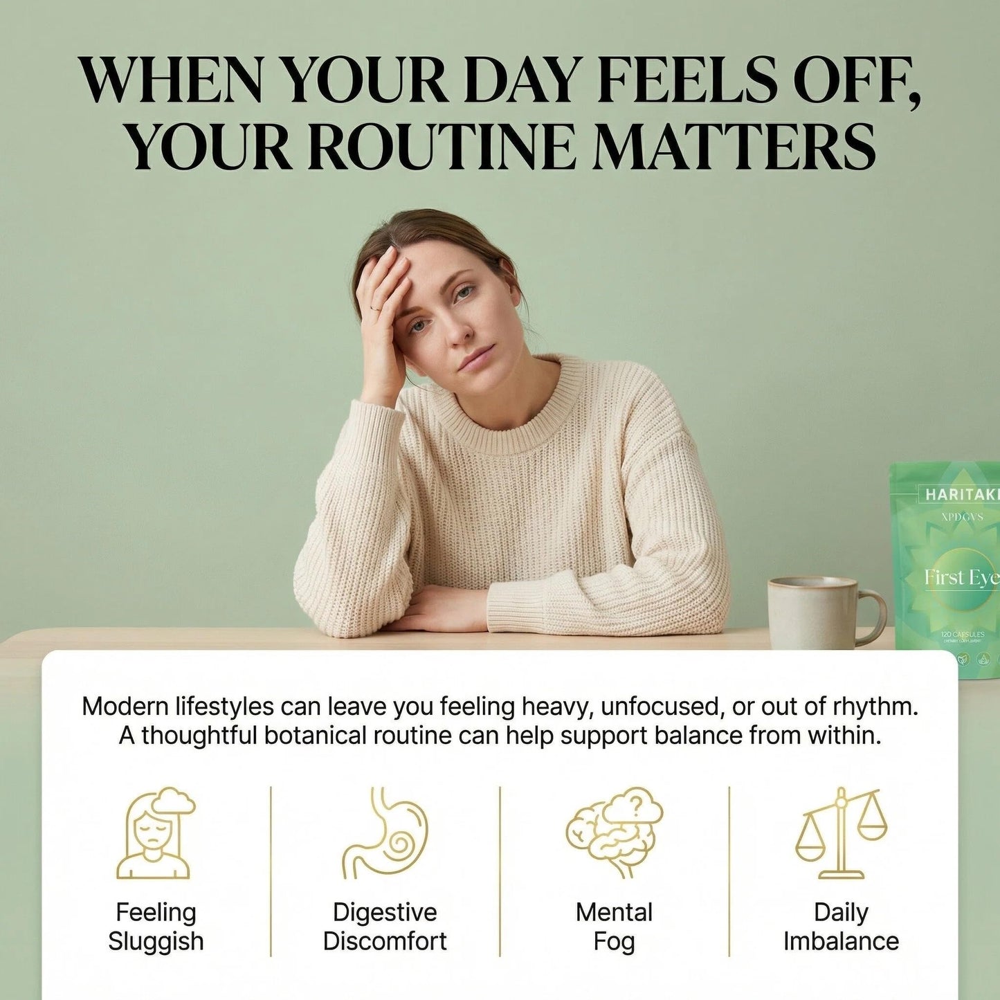 Back of Holyco Health Haritaki 120 Capsules label with ingredients