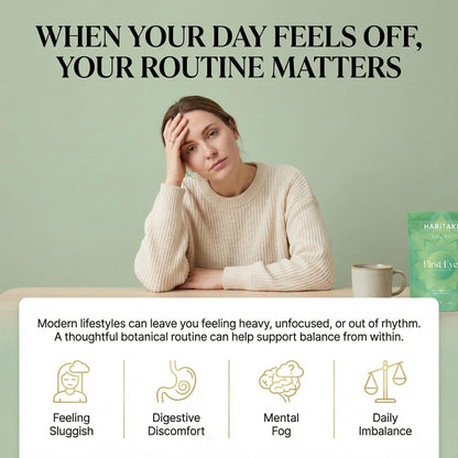 Back of Holyco Health Haritaki 120 Capsules label with ingredients