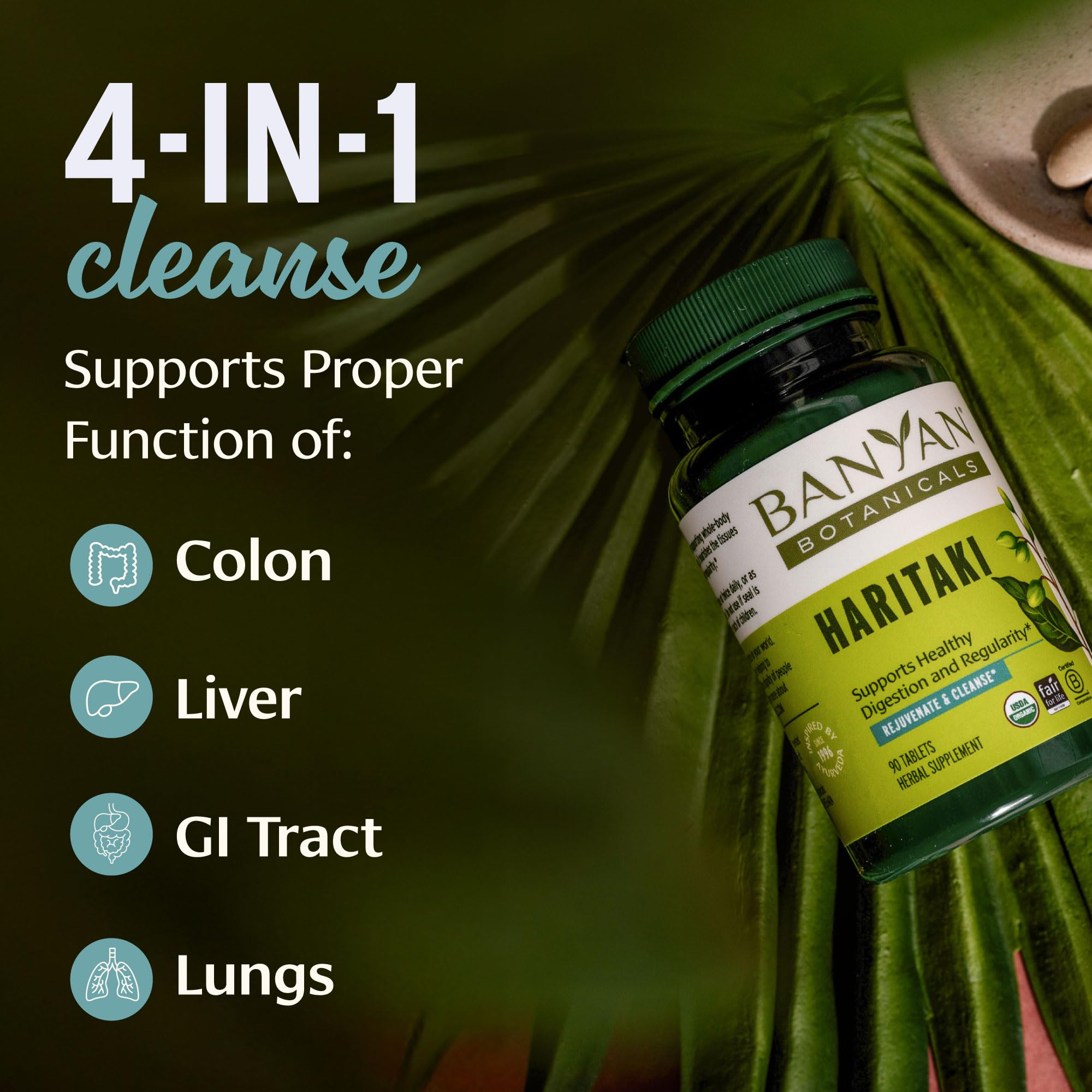 Banyan Botanicals Haritaki 90 tablets supplement facts and ingredient label details