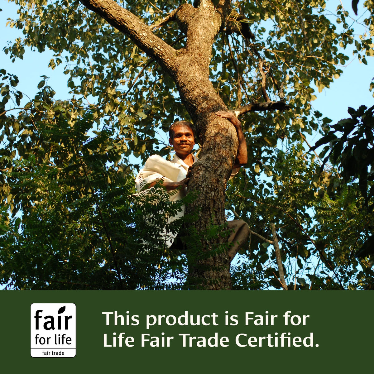 Side view of Banyan Botanicals Haritaki bottle showing fair trade certifications