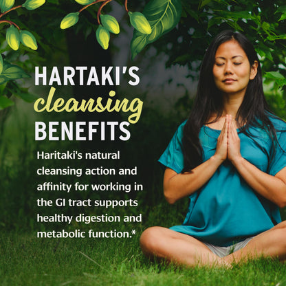 Back label of Banyan Botanicals Haritaki Powder displaying pure ingredients and fair trade certifications.