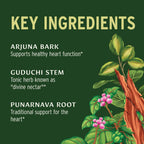 Side view of Banyan Botanicals organic circulatory system tonic ninety tablets.