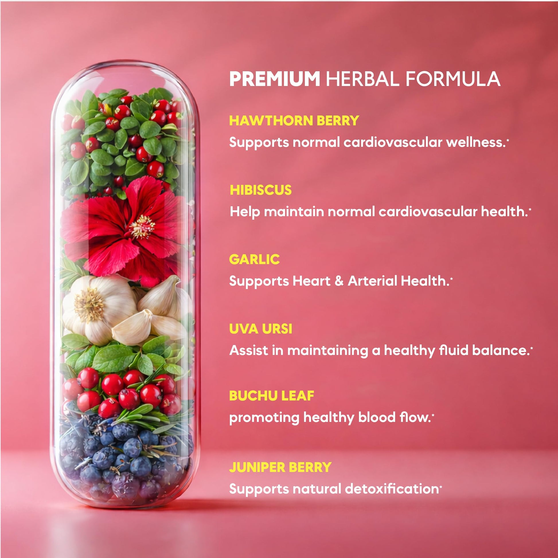 Supplement facts panel on the back of Kaitamin cardiac health bottle showing garlic and olive leaf extract dosages.