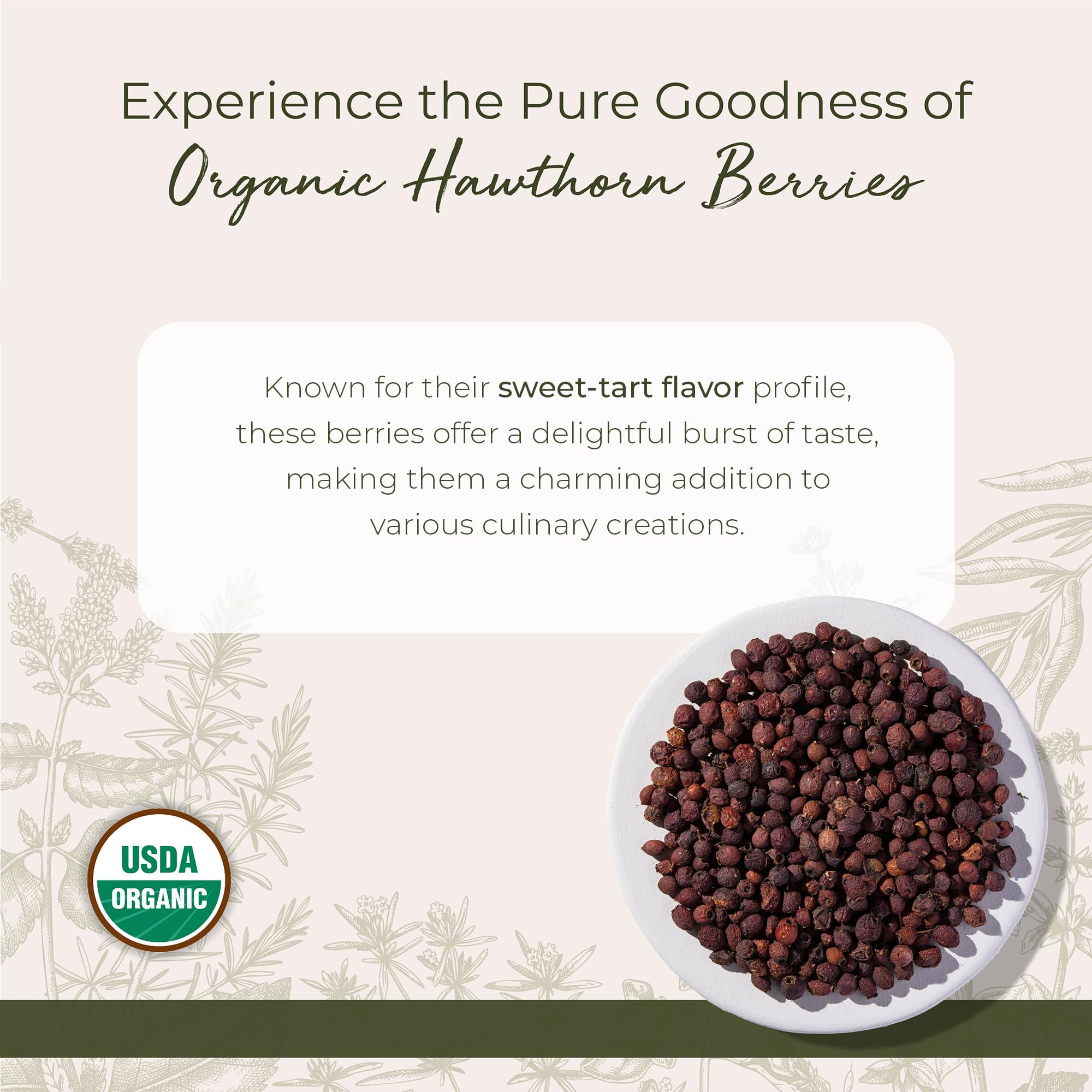 Dried deep red whole organic hawthorn berries displayed outside the packaging for quality inspection.