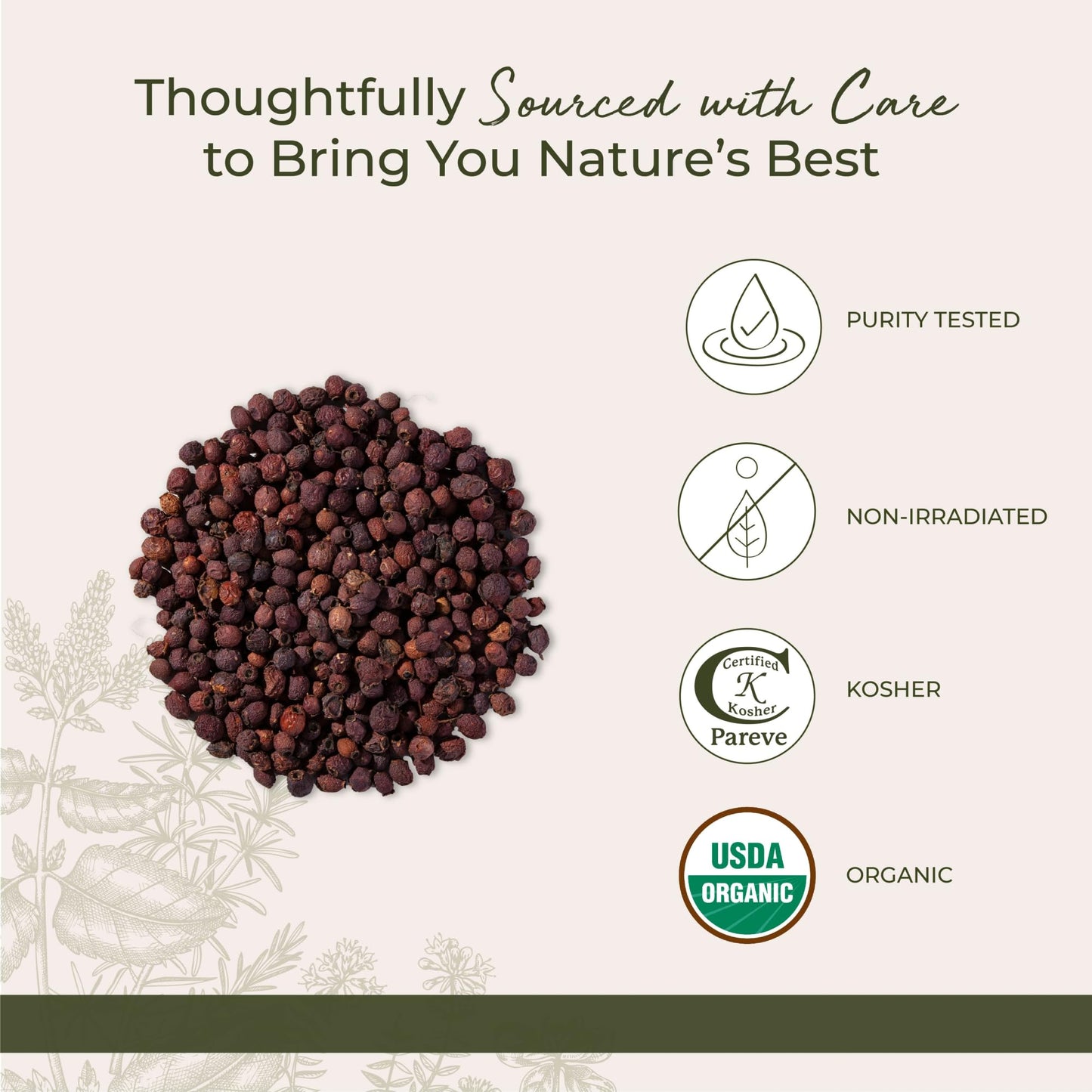 A fresh cup of hot herbal tea brewed using whole dried hawthorn berry fruits.