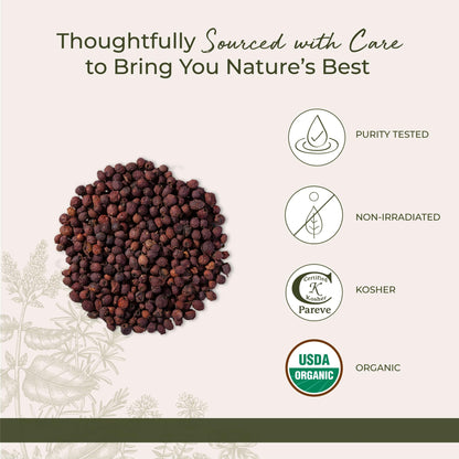 A fresh cup of hot herbal tea brewed using whole dried hawthorn berry fruits.