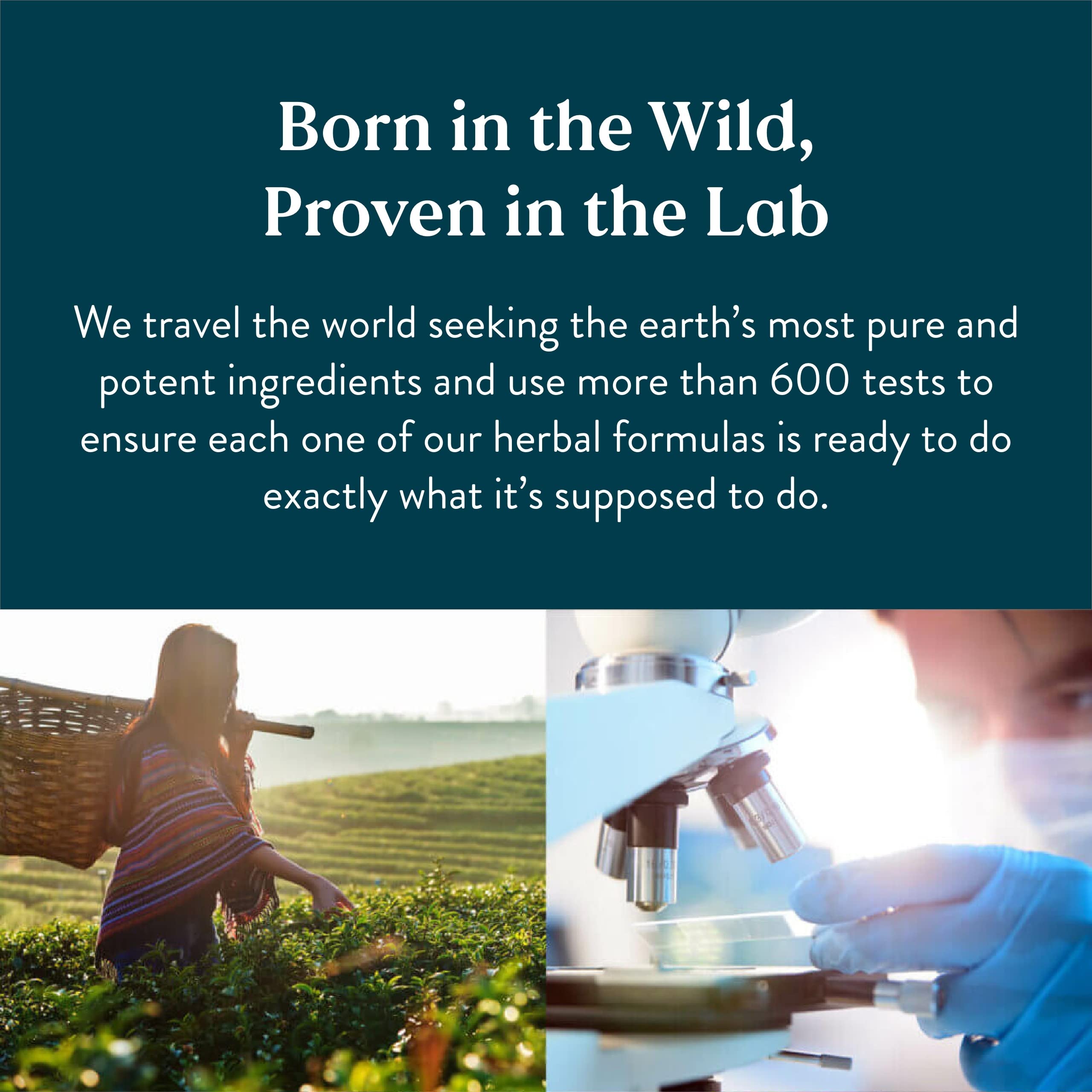 Nature's Sunshine Hawthorn Berries supplement facts label showing 450 milligrams dosage