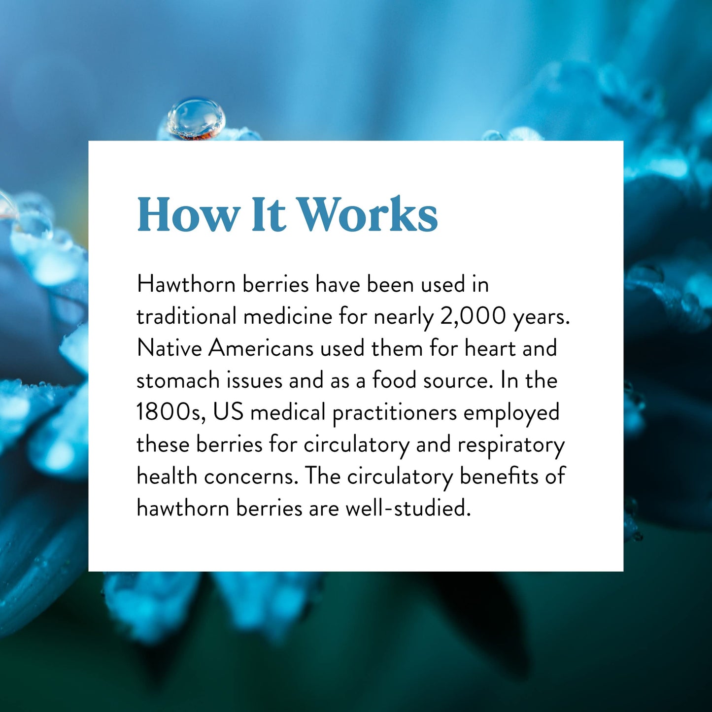 Nature's Sunshine Hawthorn Berries heart health herbal supplement capsules close up