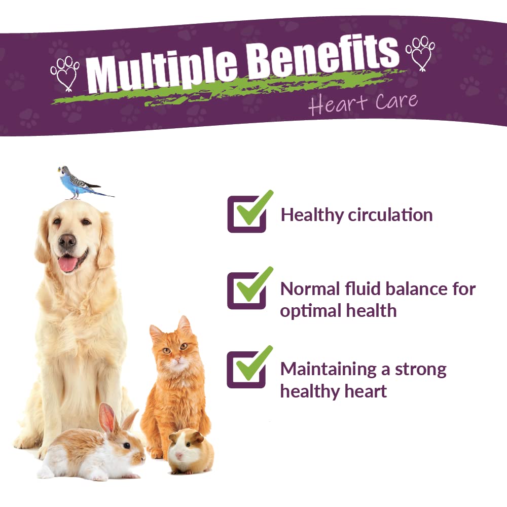 Amber NaturalZ liquid cardiovascular care for dogs and cats bottle
