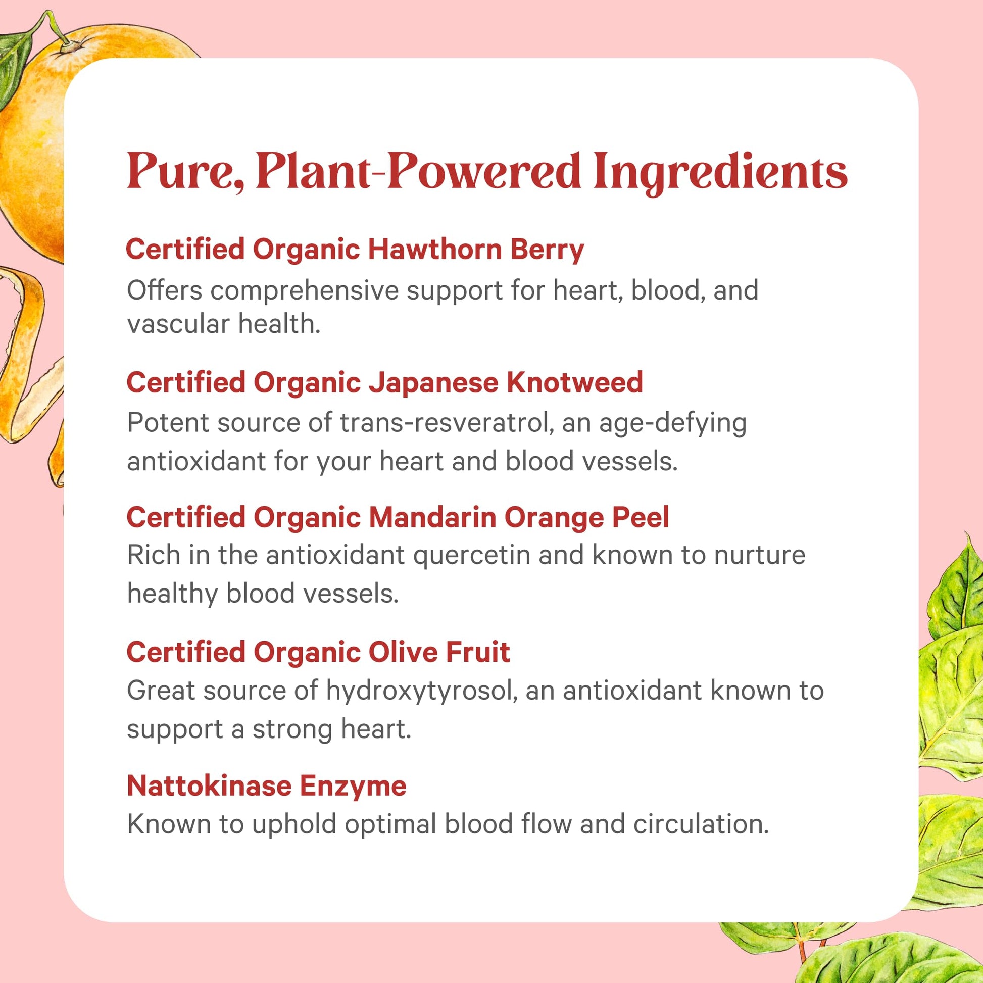 Side angle view of Pure Synergy Heart Protector 60 vegetable capsules bottle.