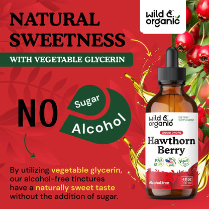 Packaging layout of the 120 mL imported USA hawthorn berry dietary supplement by Wild & Organic.