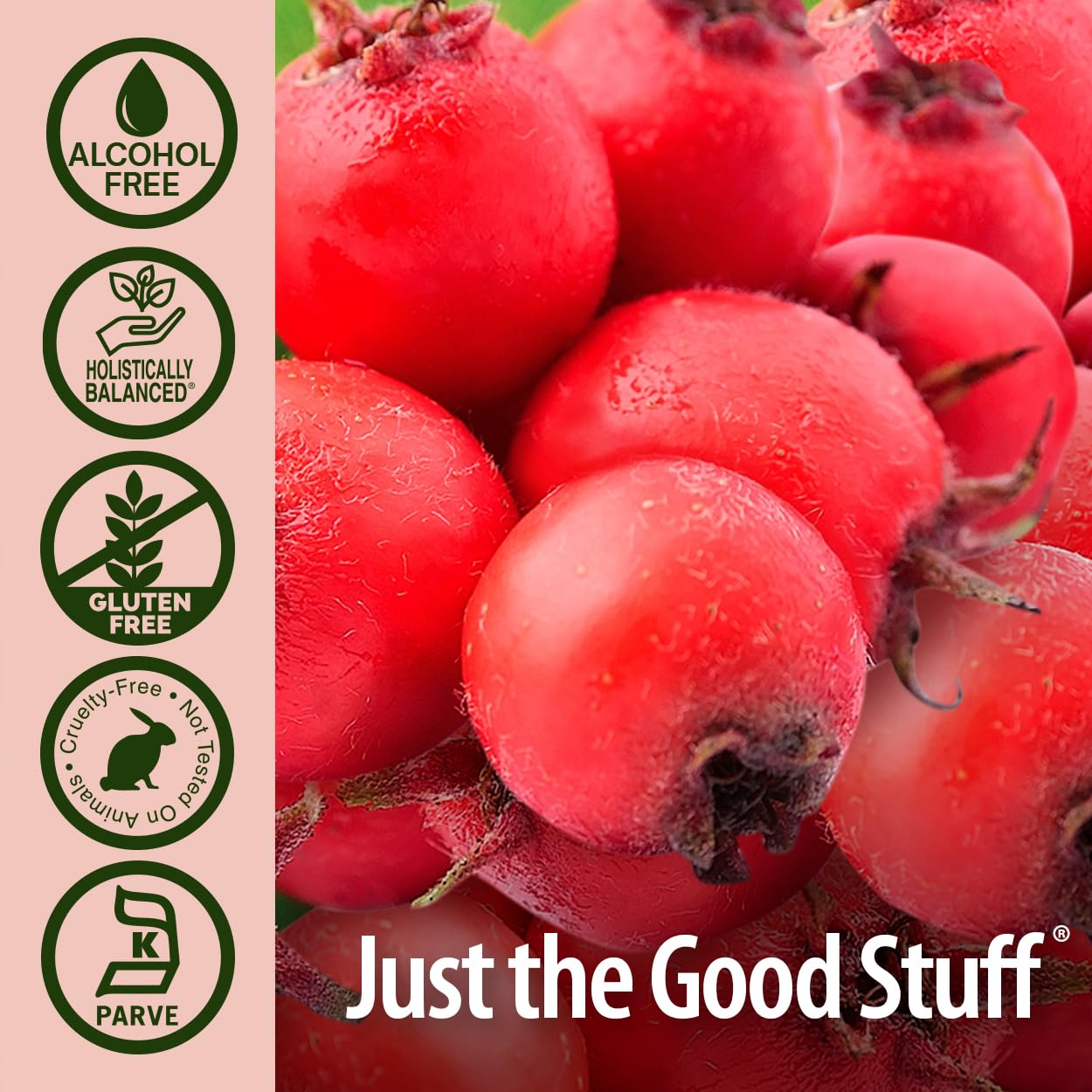 Nature's Answer Alcohol-Free Hawthorn Extract side label details