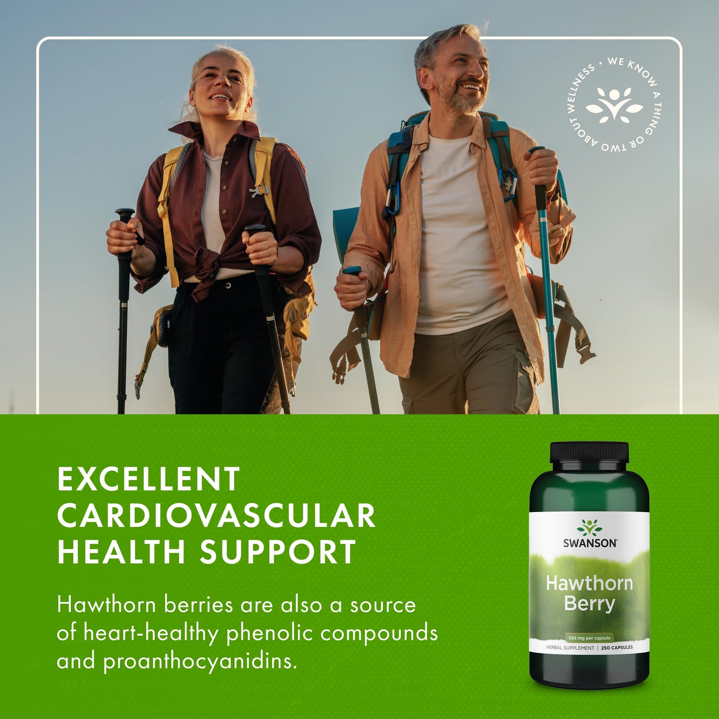 Swanson full spectrum hawthorn berry capsule dosage and cardiovascular info