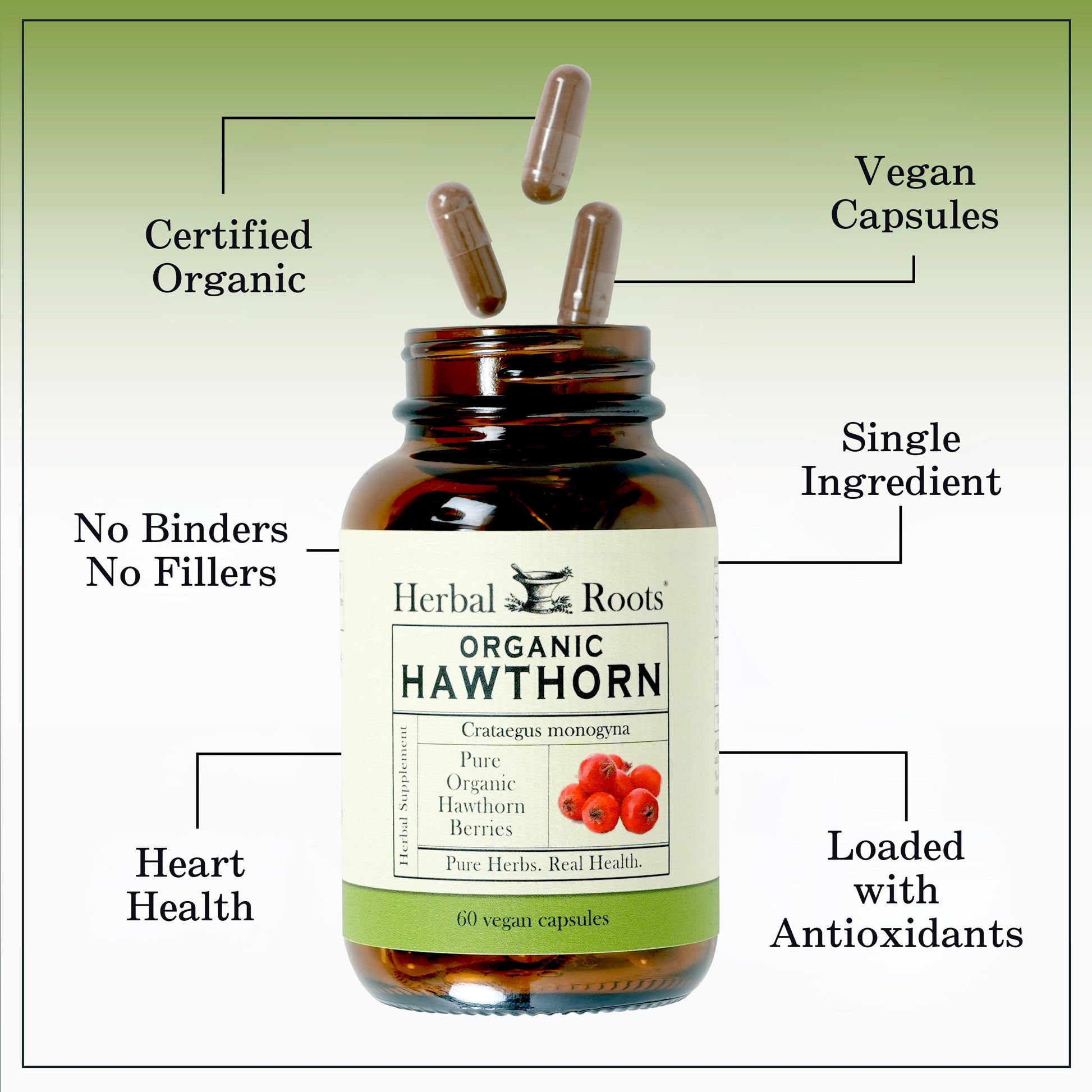 Herbal Roots USA imported cardiovascular supplement bottle placed upright alongside loose vegan capsules