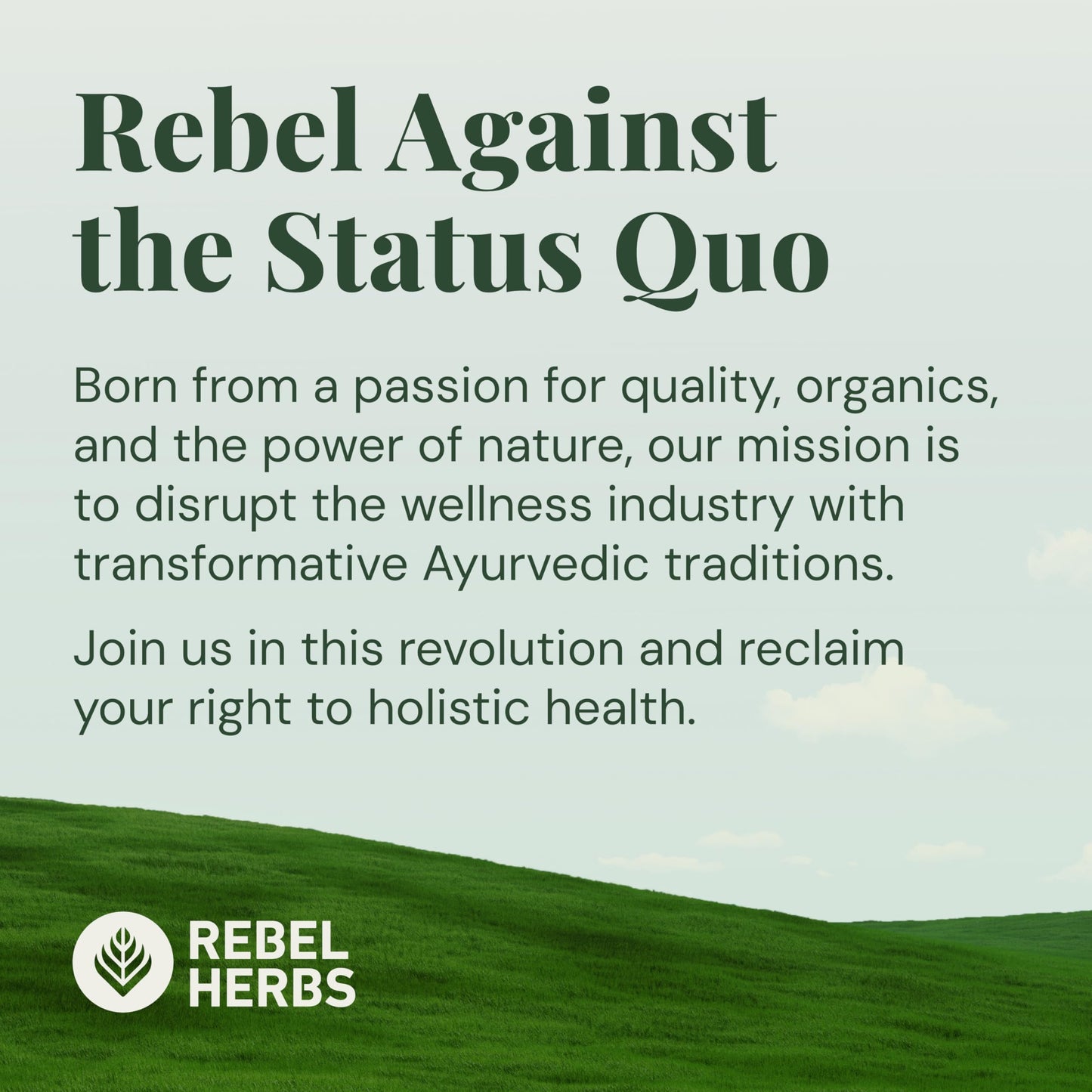 Rebel Herbs Tulsi supplement USA imported quality seal