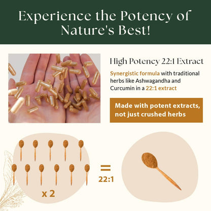 Sewanti Holy Basil Plus high potency 22 to 1 extract label