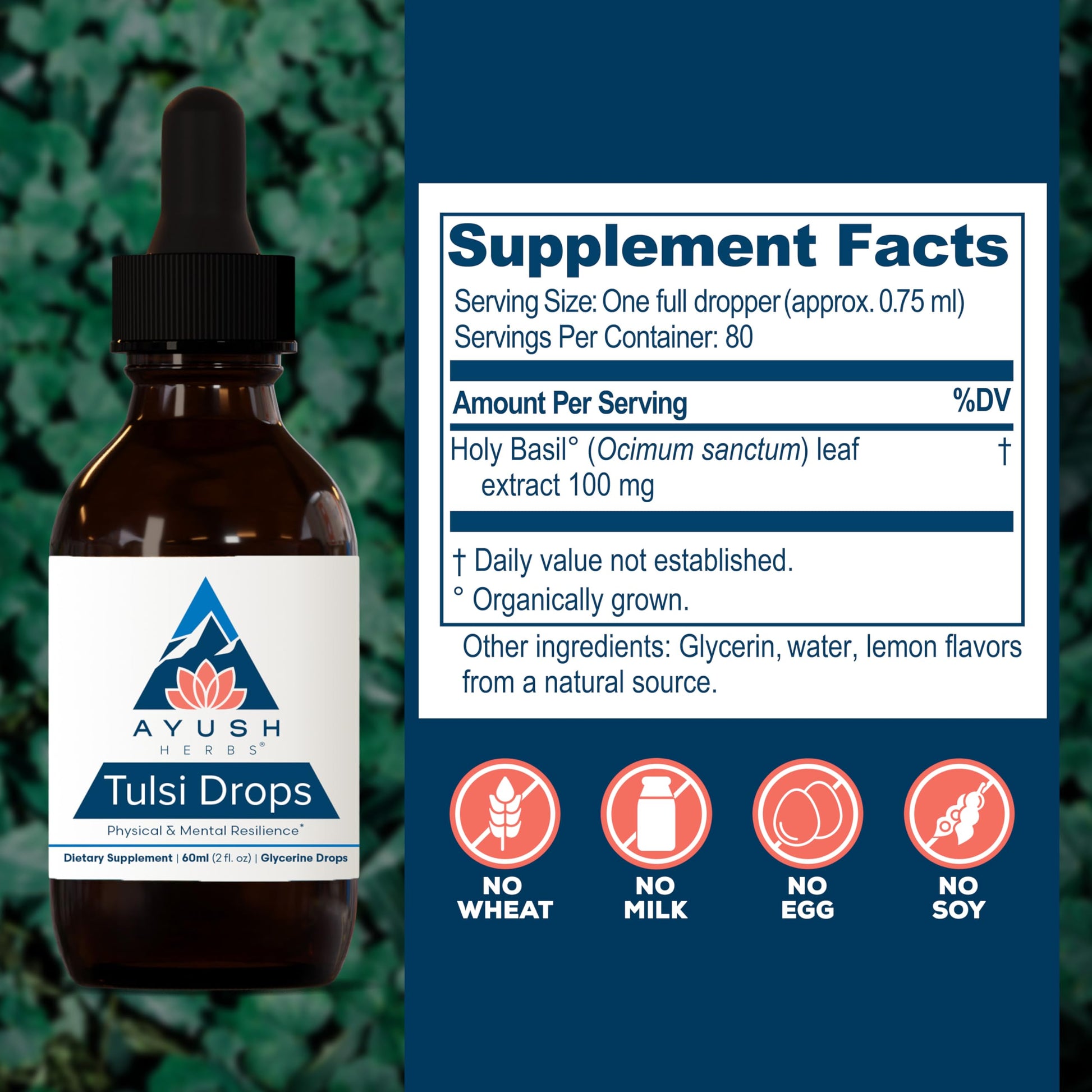Liquid dropper application for Ayush Herbs Tulsi Drops