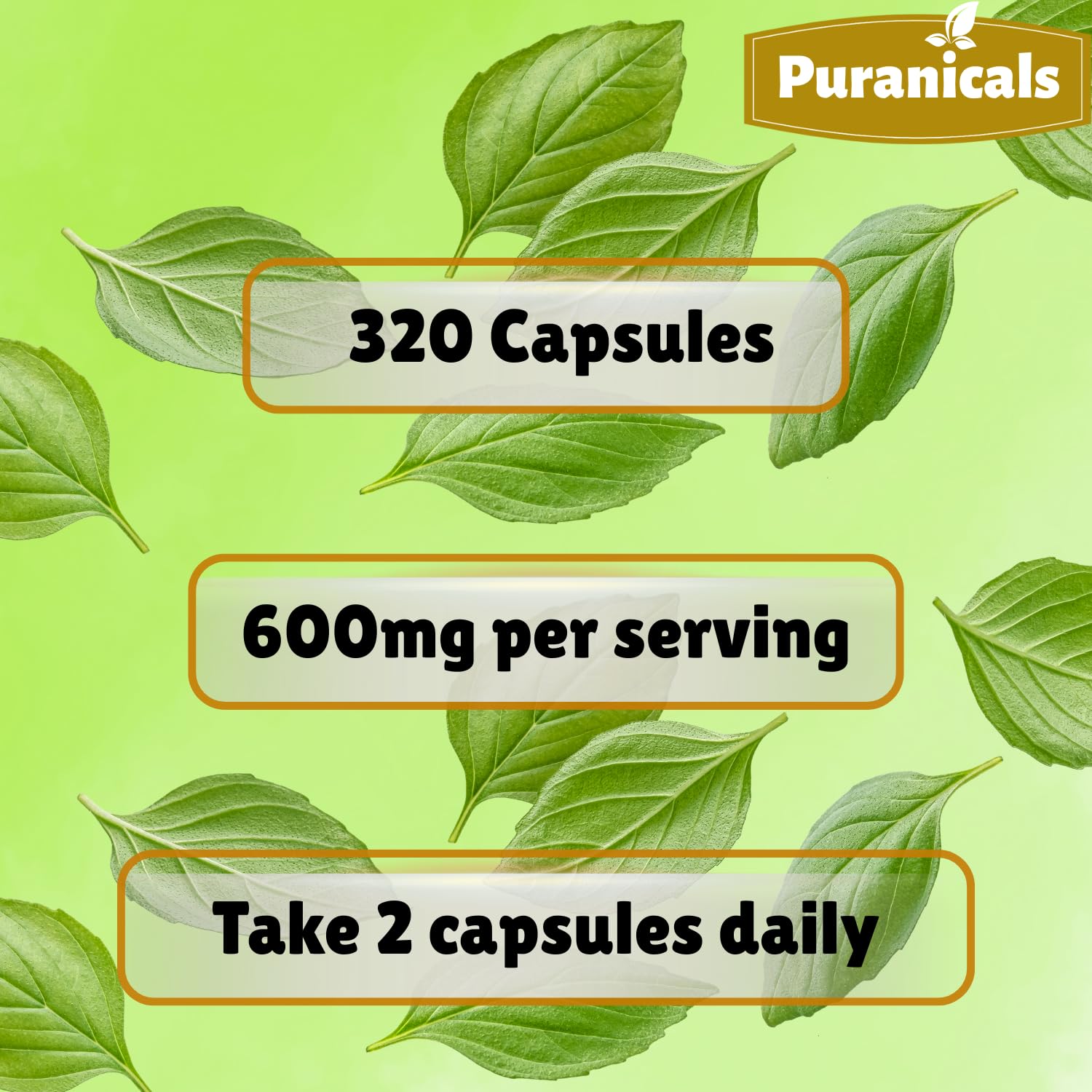 Authentic Puranicals Holy Basil herbal supplement bottle