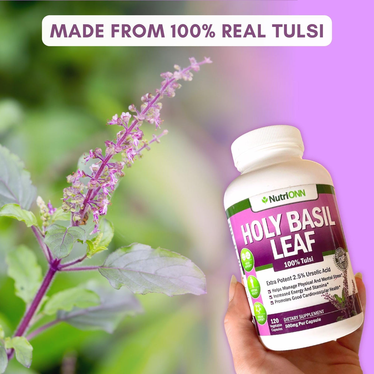NutriONN Holy Basil supplement facts label