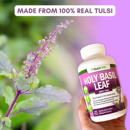 NutriONN Holy Basil supplement facts label