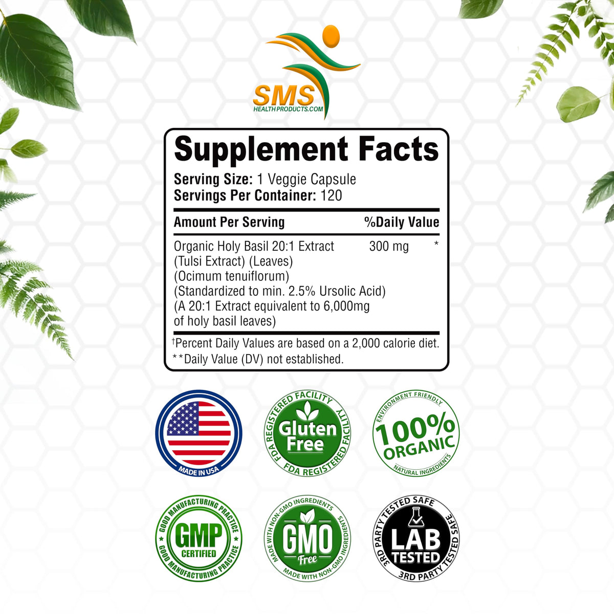 Professional product photography of Holy Basil standardized extract
