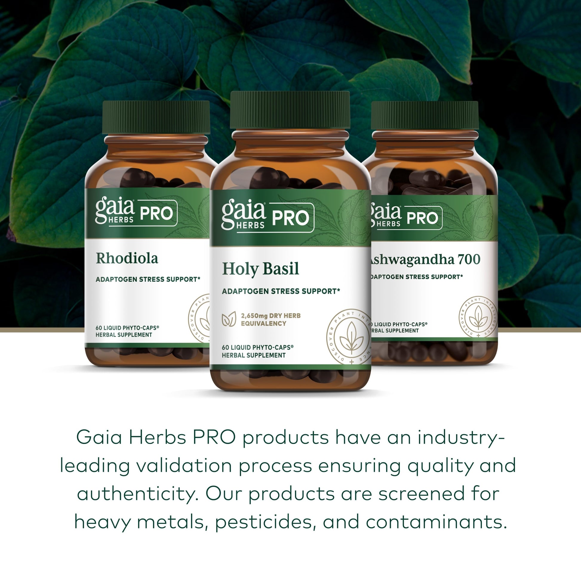 Gaia Herbs Pro Holy Basil box side view
