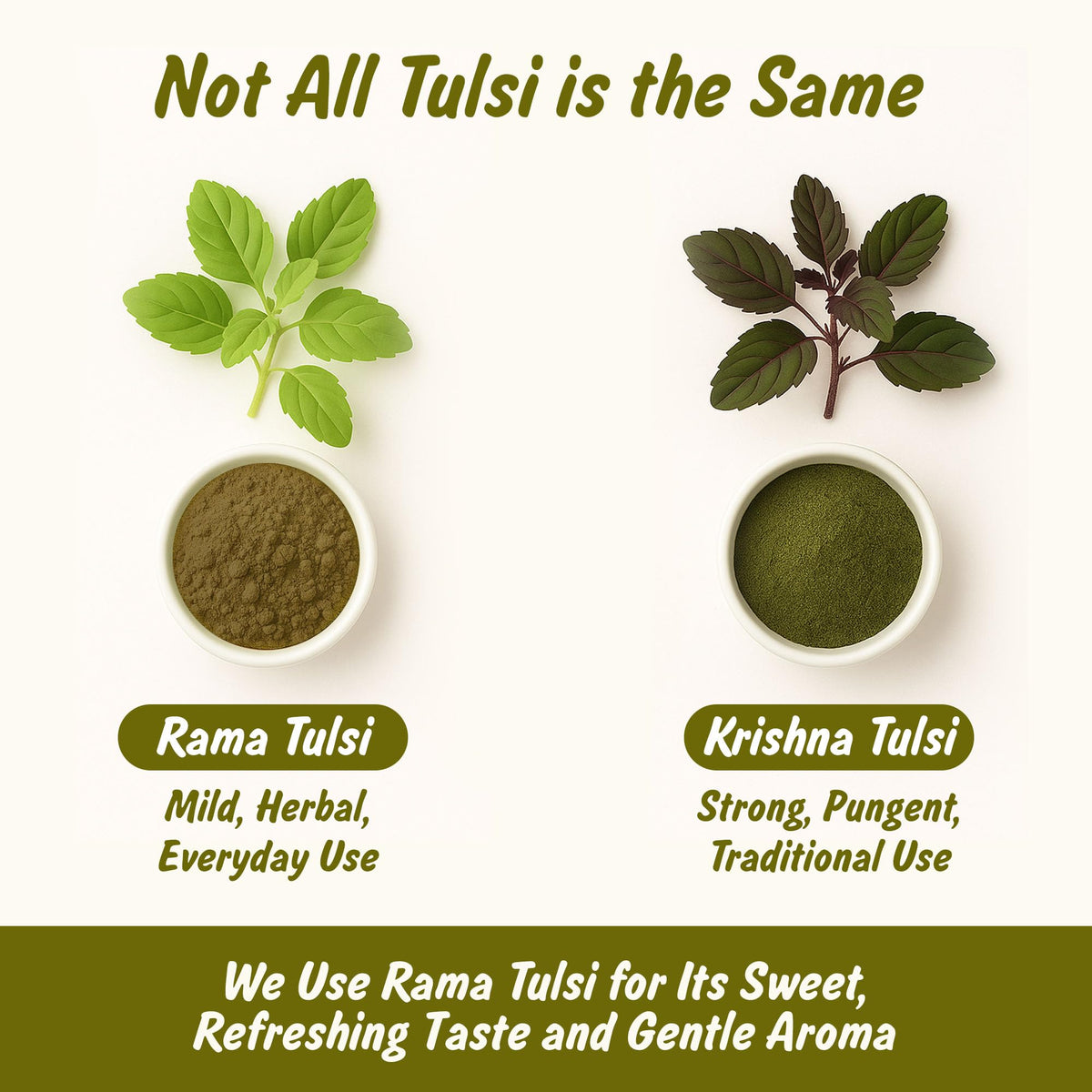 Spice Profile Holy Basil powder lifestyle shot with tea cup