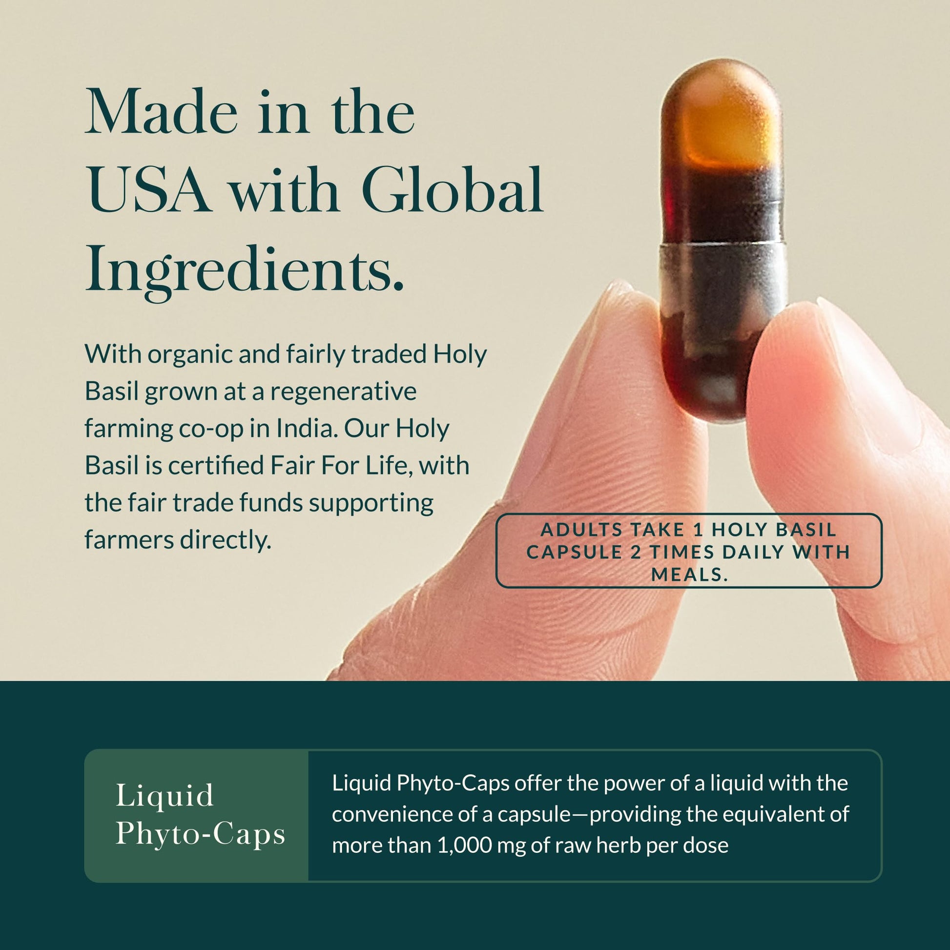 Close up of Gaia Herbs Holy Basil liquid phyto capsule texture