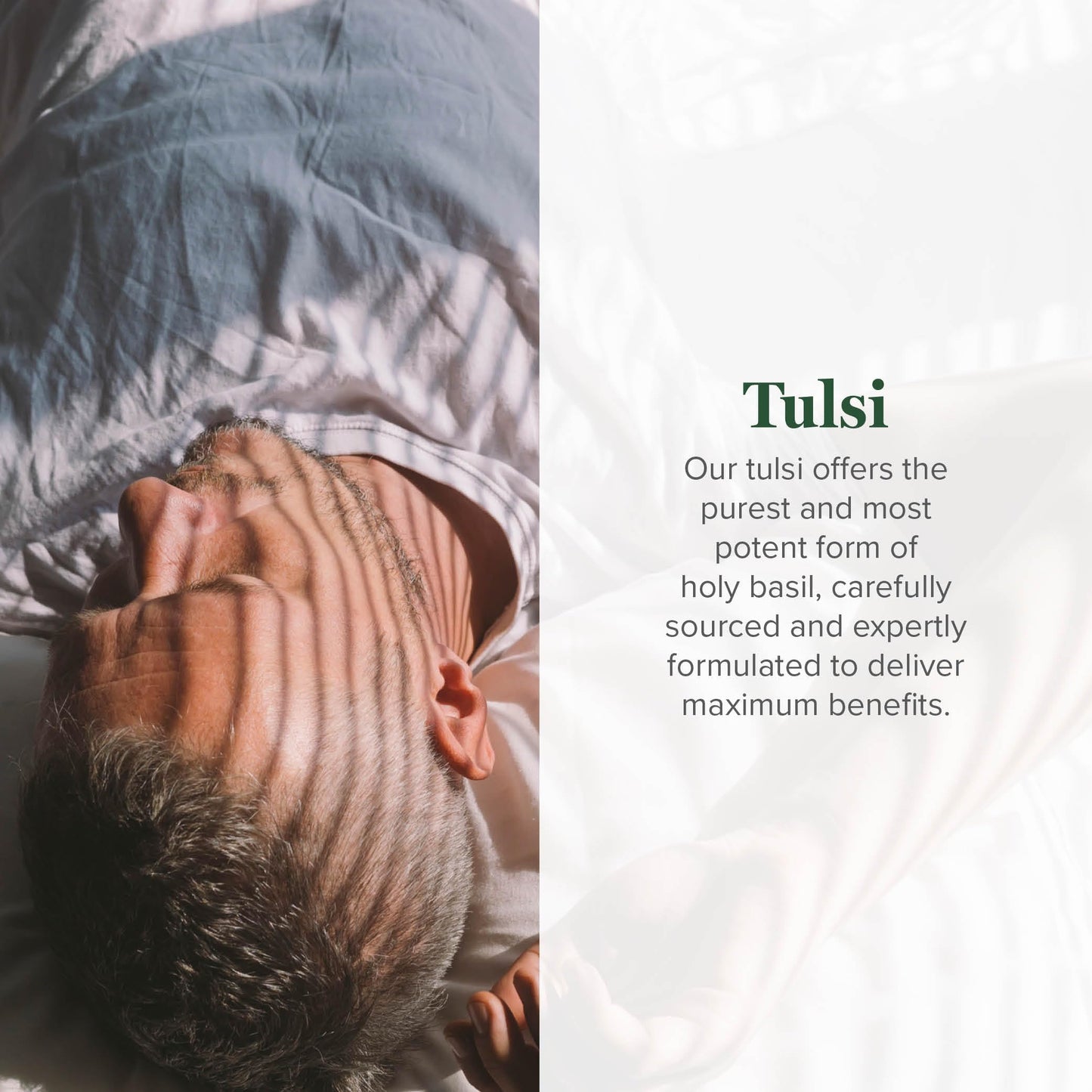 Global Healing Center Tulsi extract supplement label details