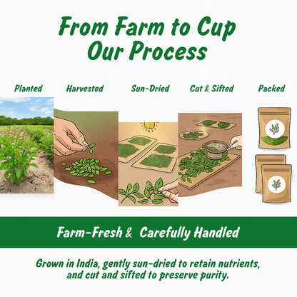 Back of the Spice Profile packaging showing ingredient list and organic certification