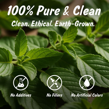 A warm cup of herbal infusion made from authentic Indian tulsi leaves