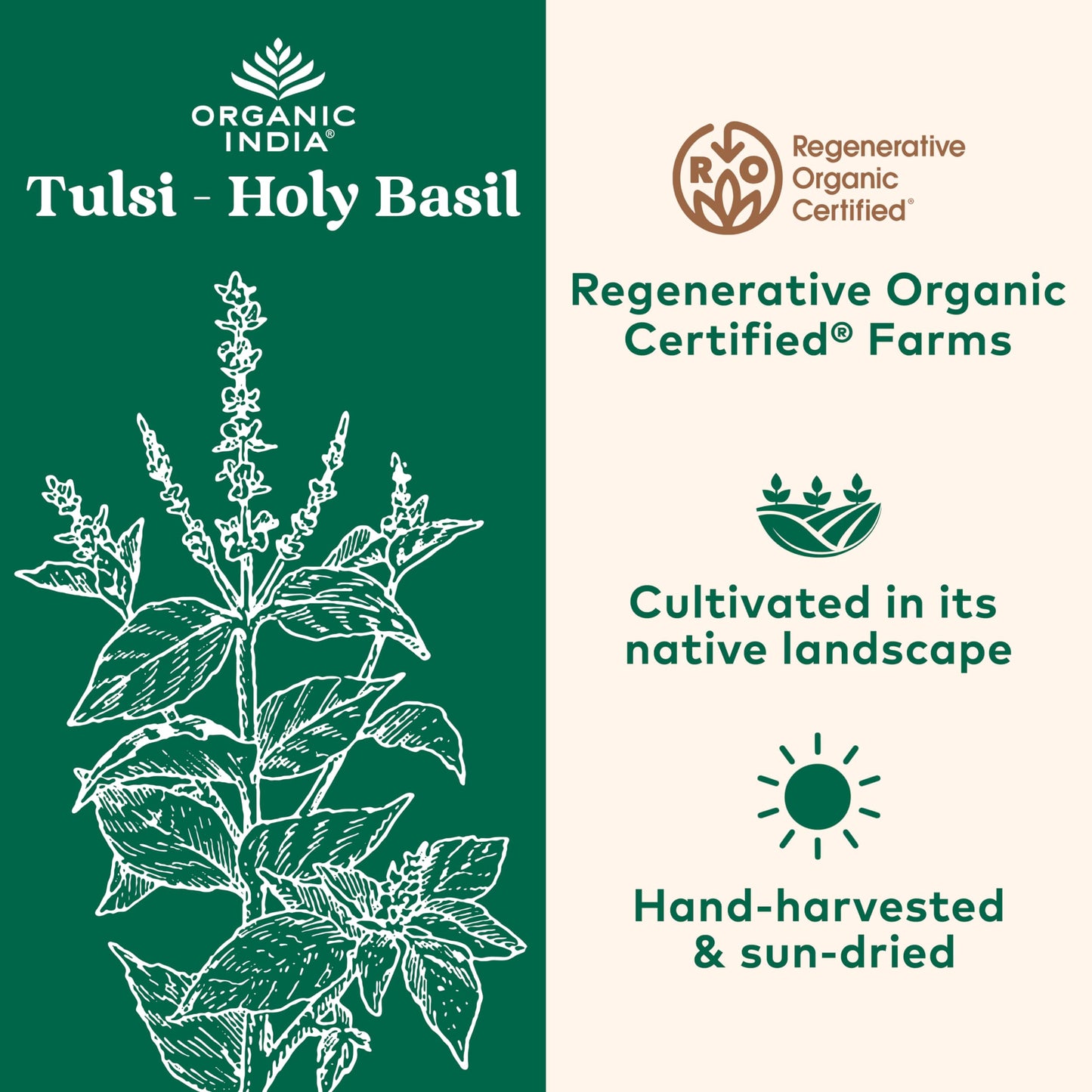Organic India Holy Basil capsules packaging side view