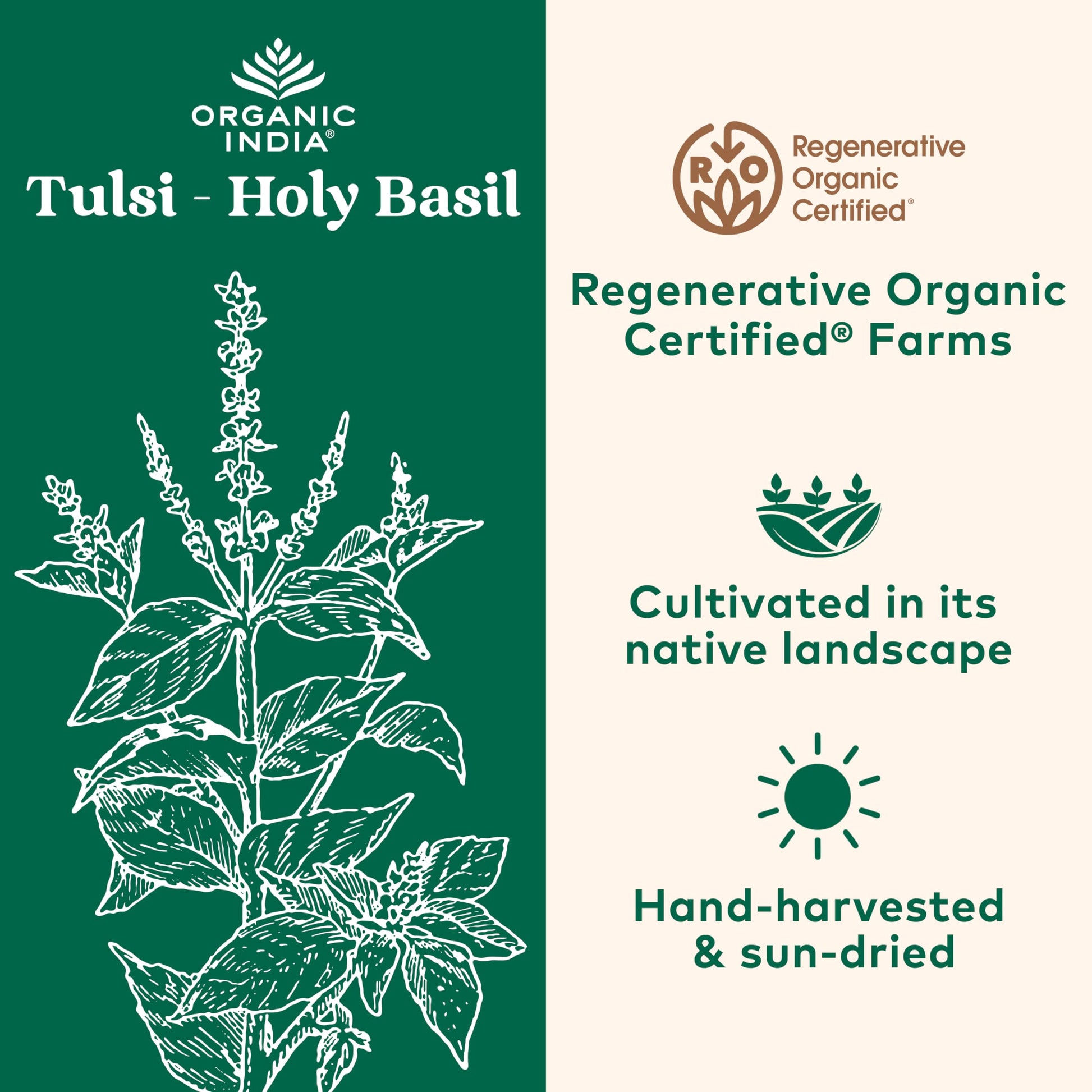 Organic India Holy Basil capsules packaging side view