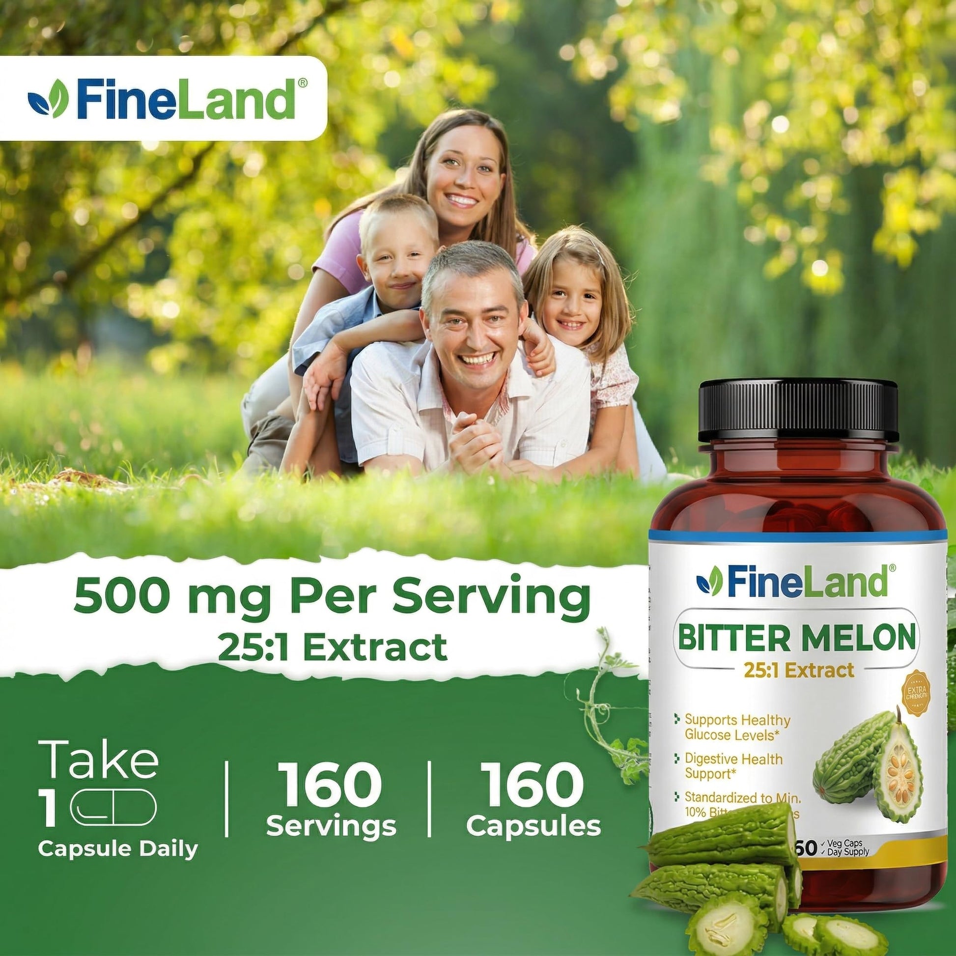 Premium quality non GMO vegan capsules of bitter melon extract for glucose health.