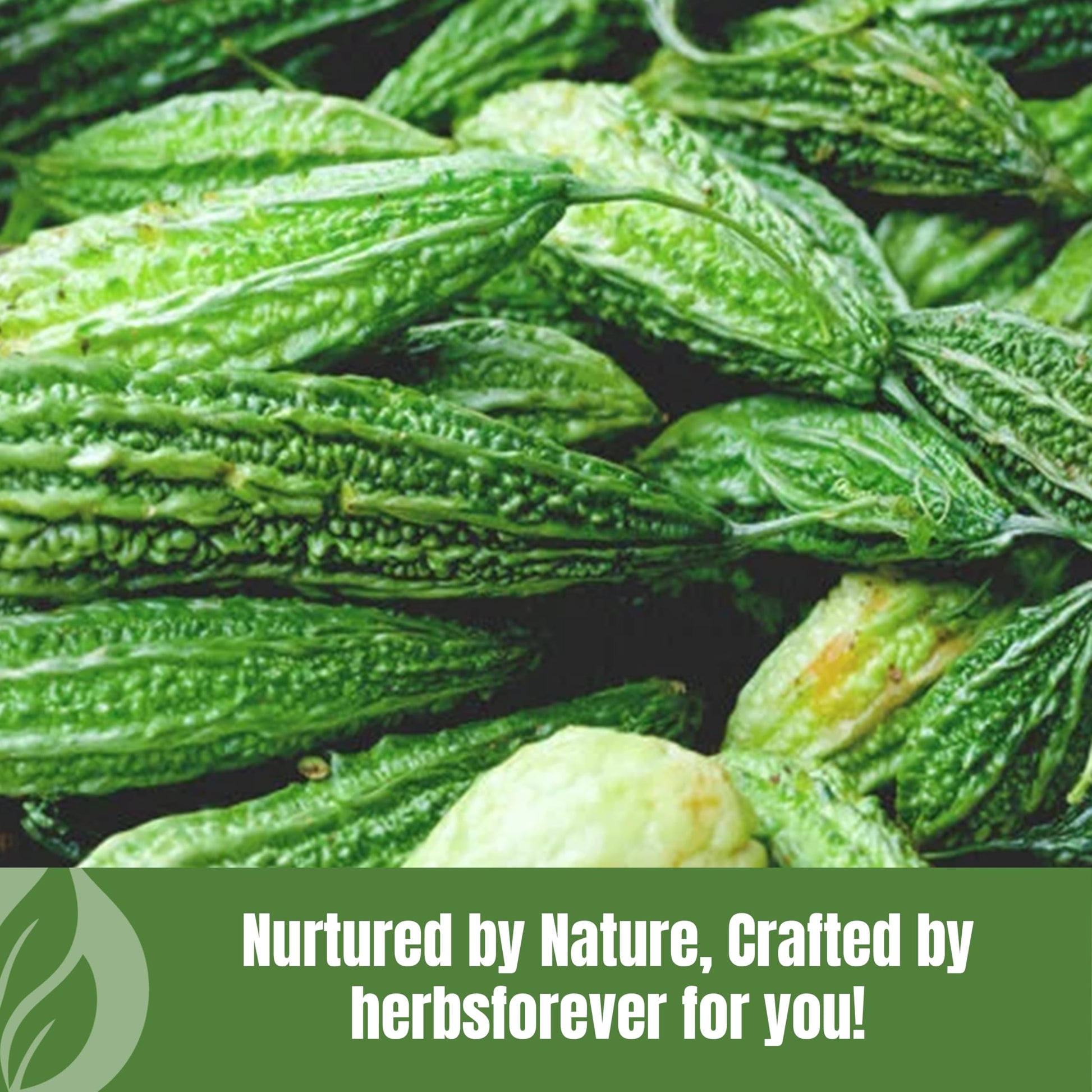 Herbsforever dietary supplement value size jar highlighting traditional blood purification and glucose support benefits.