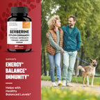 Sandhu's gluten free soy free blood sugar support lifestyle image