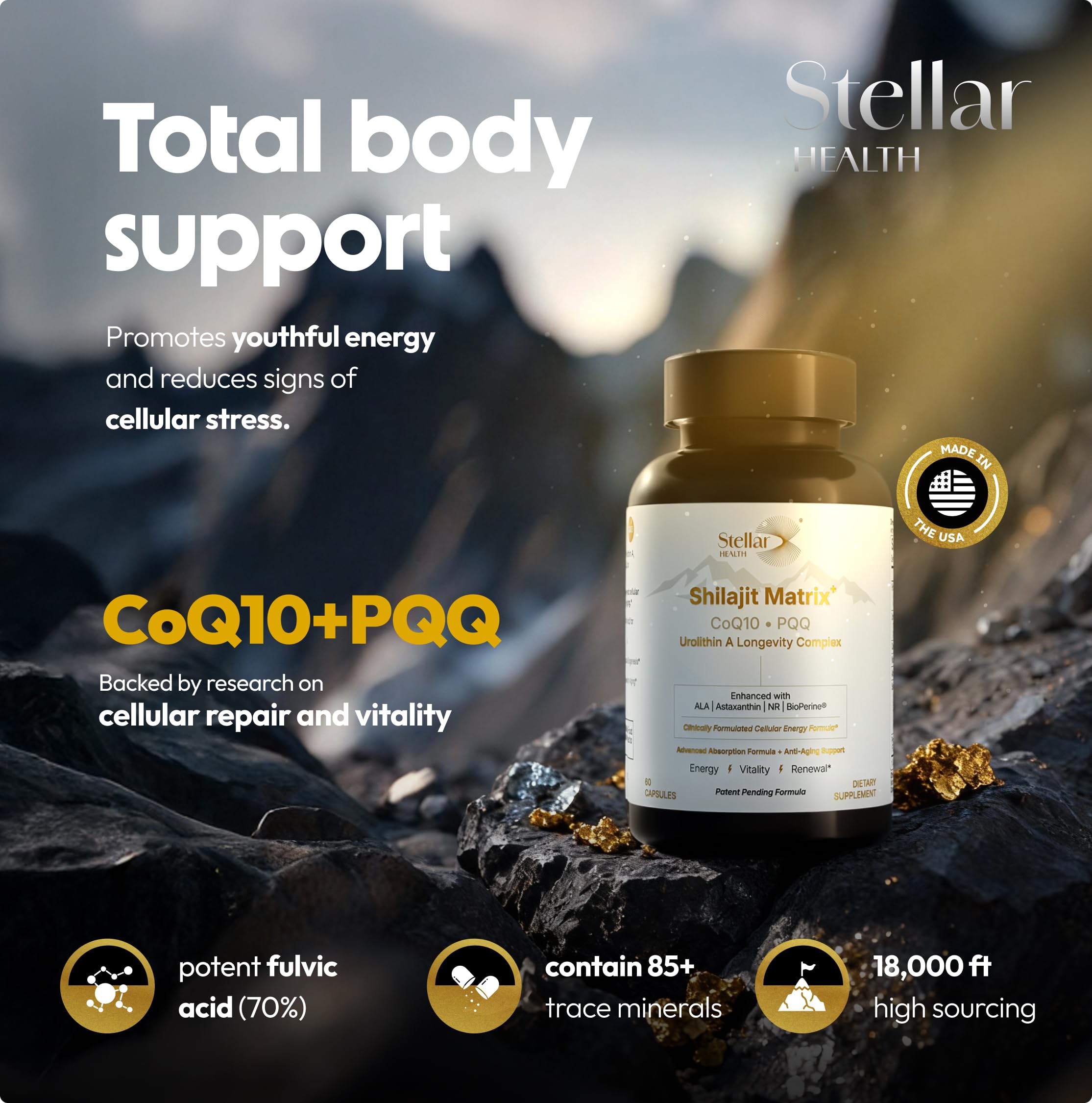 Supplement facts label of Stellar Health Ubiquinol CoQ10 capsules showing ingredients.