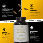 Amber glass bottle of imported USA premium cellular health dietary supplement.