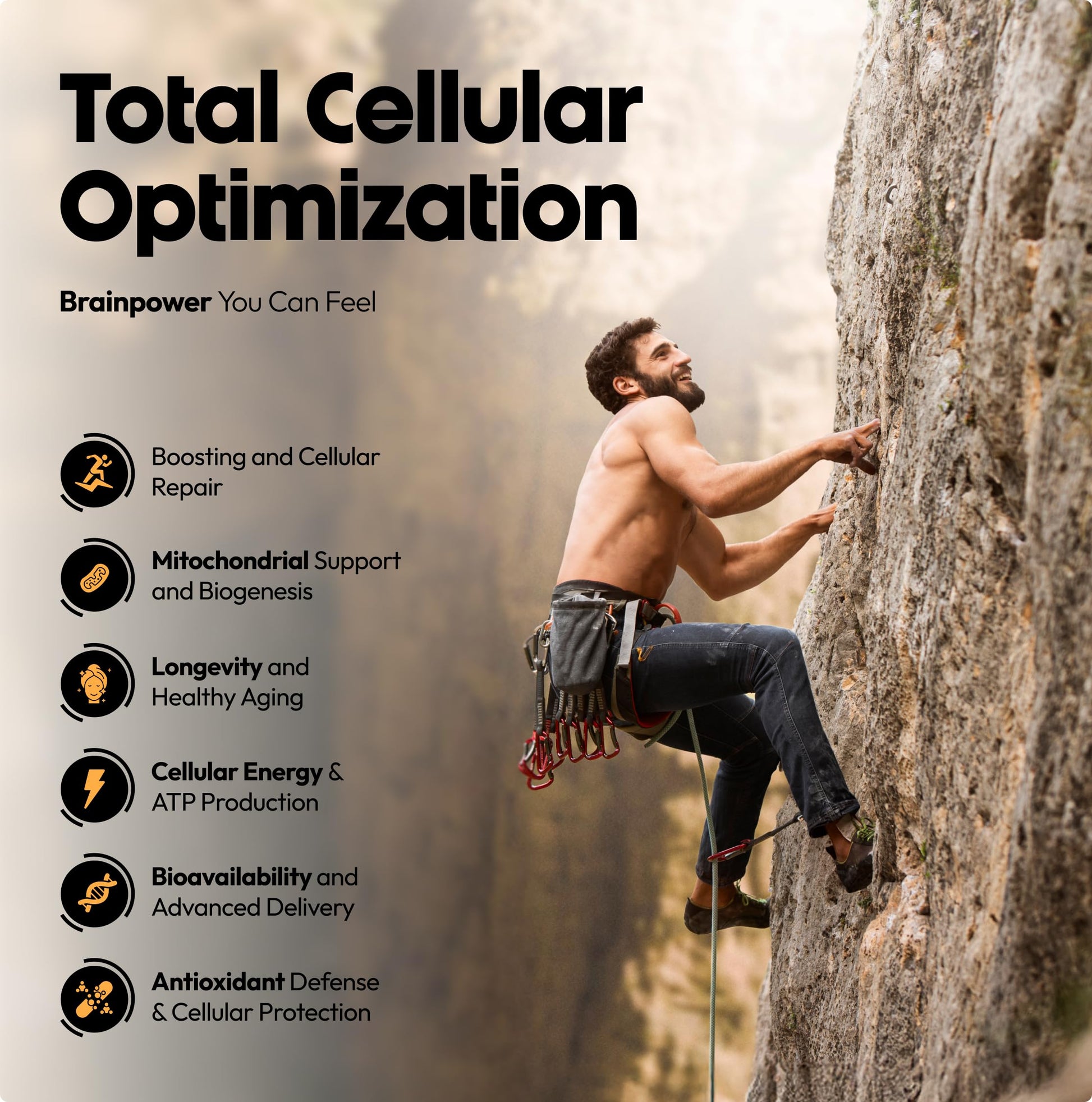 Premium heart health and cellular energy antioxidant formula packaging.