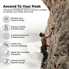 Premium imported shilajit for muscle recovery and cognitive clarity benefits