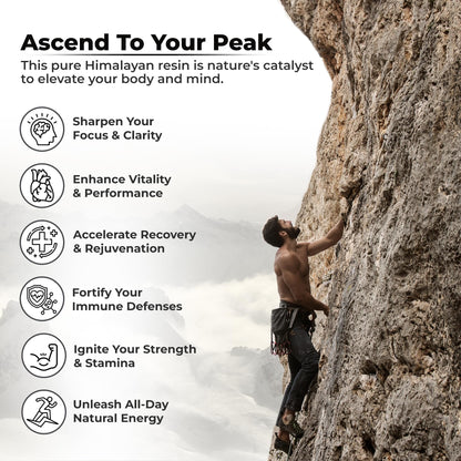 Premium imported shilajit for muscle recovery and cognitive clarity benefits