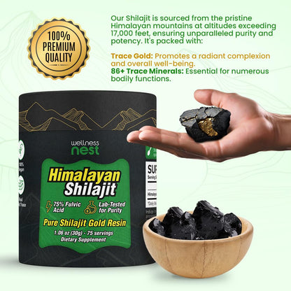 Wellness Nest shilajit dietary supplement jar alongside its protective external packaging box