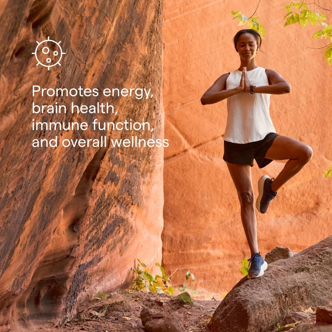 Himalayan shilajit extract 1000 Milligrams for brain health support