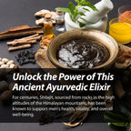 Authentic USA imported Nugenix Essentials Shilajit mineral rich resin extract supplement details