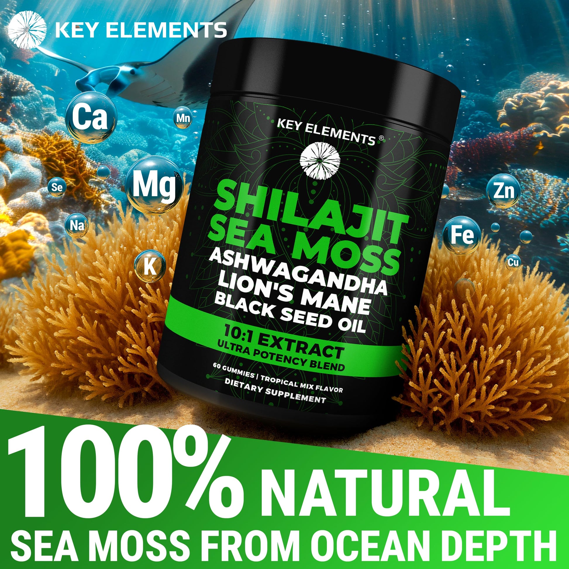 Authentic Key Elements imported dietary supplement bottle emphasizing immune and cognitive health support.