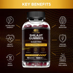 Sugar free Himalayan shilajit supplement for brain health and focus.