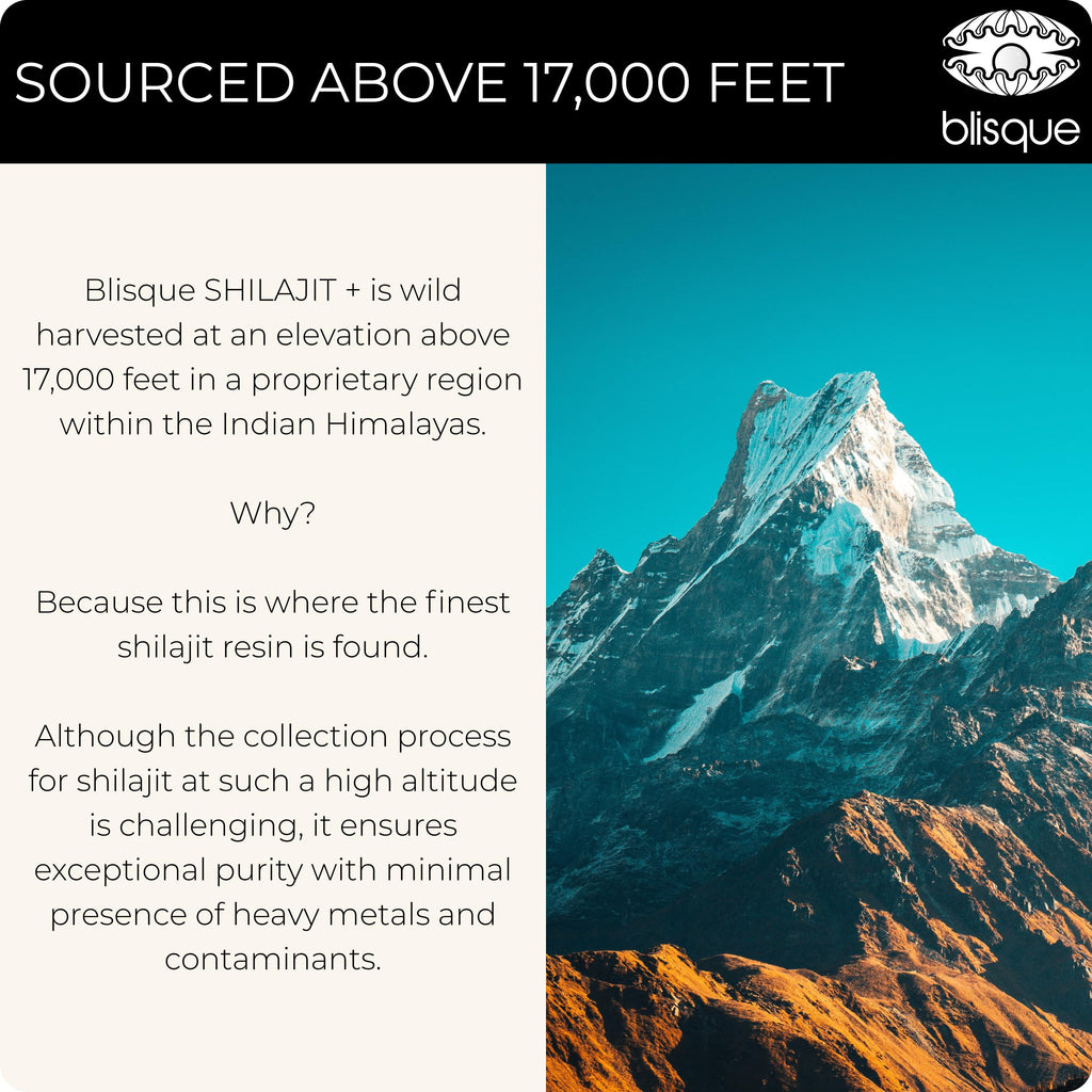 Unboxing view of Blisque Pure Organic Shilajit jar with protective seal intact.